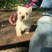 processed/e28aefb7-5e83-42e4-81d5-91ea17903b27/facility/fd5627d6-8024-466f-a88b-13002e5d1733