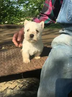 processed/e28aefb7-5e83-42e4-81d5-91ea17903b27/facility/fd5627d6-8024-466f-a88b-13002e5d1733