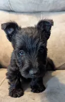 processed/e28aefb7-5e83-42e4-81d5-91ea17903b27/listing/6dd15d00-3059-45ae-90d5-d752f50f86ea/1ea1b63f-eb96-4470-8c13-f9f467529b95