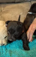 processed/e28aefb7-5e83-42e4-81d5-91ea17903b27/listing/89ef75cc-a20c-4d55-9371-2be692ed4601/313f8873-6605-40b9-9f44-3aeacae44658