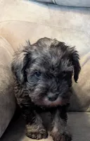 processed/e28aefb7-5e83-42e4-81d5-91ea17903b27/listing/9350cdd6-a05a-452f-ac16-faca2d13326f/818c741c-4041-4618-8a04-f84477bc6a4d