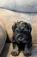 processed/e28aefb7-5e83-42e4-81d5-91ea17903b27/listing/9350cdd6-a05a-452f-ac16-faca2d13326f/d7f0d10c-9585-4989-8c04-86c2d0d1b049