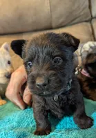 processed/e28aefb7-5e83-42e4-81d5-91ea17903b27/listing/abf2501e-2da0-4369-b0ec-3828c7002039/1e6eb2c2-85f5-4549-b826-7a7ea3f16805