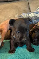 processed/e28aefb7-5e83-42e4-81d5-91ea17903b27/listing/abf2501e-2da0-4369-b0ec-3828c7002039/56557968-70dd-4c24-95b4-ed6849989ef2