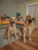 processed/e2941b77-b463-493b-93eb-80645dd670c2/facility/127d3351-c4c0-4ca4-a300-988ef112e0b4