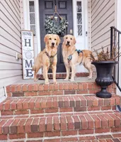 processed/e2941b77-b463-493b-93eb-80645dd670c2/facility/e1ece9b1-c997-497d-a17d-b6d42661397d