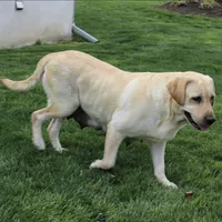 processed/e29e14d7-17a3-4ab0-84b8-0ca509778cdc/listing/9936c462-8fd3-4105-98ca-108b6a0d68be/2ec76901-eb39-4749-a0f1-b520f3579968