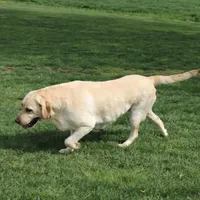 processed/e29e14d7-17a3-4ab0-84b8-0ca509778cdc/listing/9936c462-8fd3-4105-98ca-108b6a0d68be/939c3f1b-9b1c-4295-b98d-639630441141