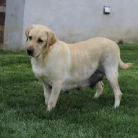 processed/e29e14d7-17a3-4ab0-84b8-0ca509778cdc/listing/9936c462-8fd3-4105-98ca-108b6a0d68be/c4f9ec25-09ed-45ad-bec2-4dced916c22c