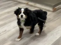 processed/e29e14d7-17a3-4ab0-84b8-0ca509778cdc/listing/f0addc67-fe45-4d7e-89ba-533e0f31ab38/7208a6ef-835f-4e19-a6e0-2d3ed518223e