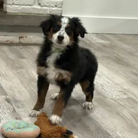 processed/e29e14d7-17a3-4ab0-84b8-0ca509778cdc/listing/f0addc67-fe45-4d7e-89ba-533e0f31ab38/d73eb28b-0cfa-4932-aafb-146a0ac4ecc7