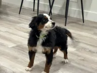 processed/e29e14d7-17a3-4ab0-84b8-0ca509778cdc/listing/f0addc67-fe45-4d7e-89ba-533e0f31ab38/db4bed13-b2ef-4138-b842-06d2ced86ad9