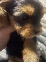 processed/e29e7cbc-7818-47ec-8e96-bc1960585af7/listing/7e8af3d4-5e4c-4d9c-ab4f-8b8cacea5dc9/05319ce9-8ddc-4651-8e21-f376e7cdc3a2