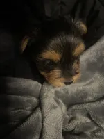 processed/e29e7cbc-7818-47ec-8e96-bc1960585af7/listing/7e8af3d4-5e4c-4d9c-ab4f-8b8cacea5dc9/a3e3f03f-1e3f-49ba-9832-4f221f24ddb7