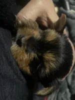 processed/e29e7cbc-7818-47ec-8e96-bc1960585af7/listing/7e8af3d4-5e4c-4d9c-ab4f-8b8cacea5dc9/f03dcd53-1875-439b-bf47-cb6967c895c5