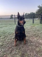 processed/e29e823f-4f36-4f72-933e-b94ce120a86e/listing/b7f4b54b-a3f3-4e04-a6c1-4f3798f373c0/72887add-517a-4fab-94f2-413e357d21a3