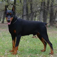 processed/e29e823f-4f36-4f72-933e-b94ce120a86e/listing/b7f4b54b-a3f3-4e04-a6c1-4f3798f373c0/e82fefed-b540-4998-a336-30f0381f1465