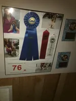 Cinder, a female Cocker Spaniel for sale in Williamsburg, MO – Photo 5 of 8