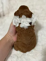 Freya, a female Cavapoo for sale in Campbellsville, KY – Photo 2 of 6