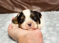 processed/e2a3aa42-cd07-4bd3-af48-027ee9bce3eb/listing/19cc457f-c8c9-4fd7-87bd-7183f342b2ca/9fbf89c7-6931-494d-89a3-ca489dbedd10