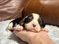 processed/e2a3aa42-cd07-4bd3-af48-027ee9bce3eb/listing/19cc457f-c8c9-4fd7-87bd-7183f342b2ca/b5ebbb49-226b-4713-af60-29853889686b