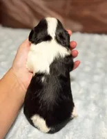 processed/e2a3aa42-cd07-4bd3-af48-027ee9bce3eb/listing/19cc457f-c8c9-4fd7-87bd-7183f342b2ca/d385c449-a7c6-494f-80f9-8c57dcab2ff7