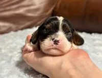 processed/e2a3aa42-cd07-4bd3-af48-027ee9bce3eb/listing/991cf648-cf1b-4bea-b817-e497e2b98281/6a0c83de-6a2d-45d2-9fbf-a77e37026ca4