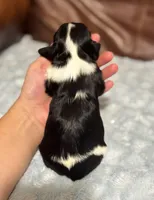 processed/e2a3aa42-cd07-4bd3-af48-027ee9bce3eb/listing/991cf648-cf1b-4bea-b817-e497e2b98281/861ed761-8974-4689-83ea-bb0ed866fd38