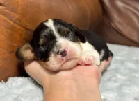 processed/e2a3aa42-cd07-4bd3-af48-027ee9bce3eb/listing/991cf648-cf1b-4bea-b817-e497e2b98281/8e475532-cdcd-4abe-8e3f-d348f7b9fb72