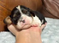 processed/e2a3aa42-cd07-4bd3-af48-027ee9bce3eb/listing/991cf648-cf1b-4bea-b817-e497e2b98281/a4817cd1-37fe-4aa9-8c07-e267445647d5