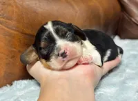 processed/e2a3aa42-cd07-4bd3-af48-027ee9bce3eb/listing/991cf648-cf1b-4bea-b817-e497e2b98281/bd2163c1-1c14-458e-a6fb-e7ccc55b344b