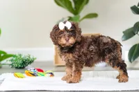 processed/e2a88229-6ee6-43e5-826b-f63cd4dbe397/listing/1607f7db-176b-4f68-84ee-488eb05bd01e/5572ed5d-8051-4601-b590-02a63788297e