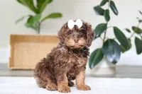 processed/e2a88229-6ee6-43e5-826b-f63cd4dbe397/listing/1607f7db-176b-4f68-84ee-488eb05bd01e/d864f8b3-86b6-48c0-b1f9-5e01876505d6