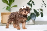 processed/e2a88229-6ee6-43e5-826b-f63cd4dbe397/listing/1607f7db-176b-4f68-84ee-488eb05bd01e/f7884f45-8a29-45eb-861f-4ca2408a9766