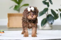 processed/e2a88229-6ee6-43e5-826b-f63cd4dbe397/listing/1607f7db-176b-4f68-84ee-488eb05bd01e/ffaca712-3900-4c30-9701-d7517ca5c2ec