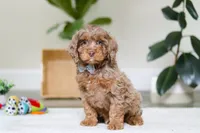 processed/e2a88229-6ee6-43e5-826b-f63cd4dbe397/listing/20b70dff-9606-417f-b8cd-1e7f78192153/c9810552-1adc-416c-8dfd-da07a181f2f9