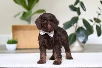 processed/e2a88229-6ee6-43e5-826b-f63cd4dbe397/listing/26ea7d17-b35e-491a-891c-5af725922839/18674bd4-3fe2-4bf9-8b1a-da4b47a8f9bf