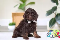 processed/e2a88229-6ee6-43e5-826b-f63cd4dbe397/listing/26ea7d17-b35e-491a-891c-5af725922839/54f67efd-8397-4c2e-a848-3e965158a506