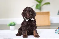 processed/e2a88229-6ee6-43e5-826b-f63cd4dbe397/listing/26ea7d17-b35e-491a-891c-5af725922839/64d0e815-d8e0-4bd5-ae00-ec5f0b951831