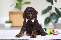 processed/e2a88229-6ee6-43e5-826b-f63cd4dbe397/listing/26ea7d17-b35e-491a-891c-5af725922839/e6e6b56f-3017-4e48-9b27-4d0af8252409