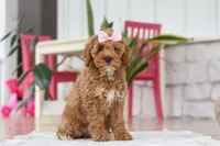 processed/e2a88229-6ee6-43e5-826b-f63cd4dbe397/listing/2960c4b4-e297-4ae1-a0ff-ea7e012a89d9/0c6c8939-93f3-413d-8a0c-e820a86577a6