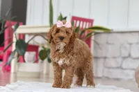 processed/e2a88229-6ee6-43e5-826b-f63cd4dbe397/listing/2960c4b4-e297-4ae1-a0ff-ea7e012a89d9/1f5ede4e-1825-44f3-8060-103b4534ec14