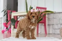 processed/e2a88229-6ee6-43e5-826b-f63cd4dbe397/listing/2960c4b4-e297-4ae1-a0ff-ea7e012a89d9/85bbc687-6c40-408a-b4db-75da9ff11b6d