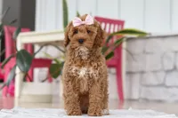 processed/e2a88229-6ee6-43e5-826b-f63cd4dbe397/listing/2960c4b4-e297-4ae1-a0ff-ea7e012a89d9/944d2497-2bbd-4dc9-a00a-432516bad596