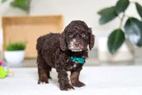 processed/e2a88229-6ee6-43e5-826b-f63cd4dbe397/listing/4f834ec8-d4b0-495a-b1f8-3aa70f85ec93/6c10e89b-4ecc-4a29-a60b-feaa90383215