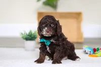 processed/e2a88229-6ee6-43e5-826b-f63cd4dbe397/listing/4f834ec8-d4b0-495a-b1f8-3aa70f85ec93/8ef322da-3ec2-4386-a7e9-58c22294b05f