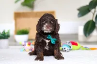 processed/e2a88229-6ee6-43e5-826b-f63cd4dbe397/listing/4f834ec8-d4b0-495a-b1f8-3aa70f85ec93/c6e8b45b-57c1-47d8-8255-253e42be2ecb