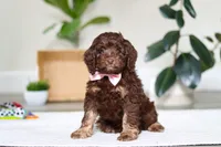 processed/e2a88229-6ee6-43e5-826b-f63cd4dbe397/listing/7a176988-8867-490d-94a9-0acf60be7dce/284436bf-6dd4-4354-9a12-05a53aa1f622