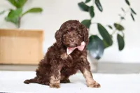 processed/e2a88229-6ee6-43e5-826b-f63cd4dbe397/listing/7a176988-8867-490d-94a9-0acf60be7dce/5f66391c-6a18-4994-b804-3f8e36c14366