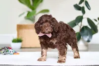 processed/e2a88229-6ee6-43e5-826b-f63cd4dbe397/listing/7a176988-8867-490d-94a9-0acf60be7dce/8cdb0d3e-630c-4dd7-a697-564d9f23ca42